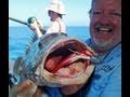 Awesome reef Jigging!! Great Barrier Reef!!