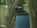 AFN Korea Two Minute Report (2008-07-10)