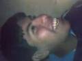cocodrilo