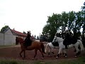 CE Drouot Carrousel Poneys CE Drouot Carrousel Poneys
