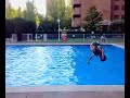 ger fer saltikos en la piscii movidas jaja