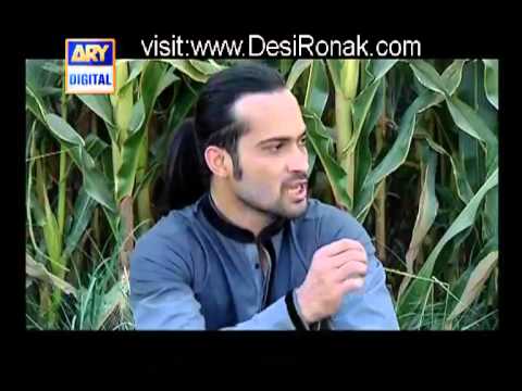 Desi Kuriyan ( Season 4 ) by Ary Tv - Episode 10