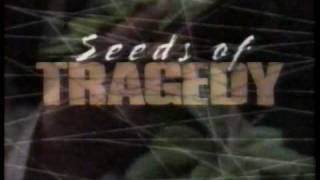 Seeds Of Tragedy [1991 TV Movie]