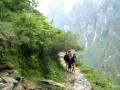 videos de Tiger Leaping Gorge, Waterfall 2