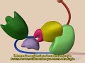 Splicing do mRNA Splicing do mRNA