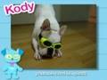 Ultra Kawaii - Doggles!