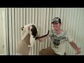 These vlogs are just little daily glimpses into the lives of our cats Sparta and Loki. Posting daily from 7.29.2009 - 9.1.2009 while Stephanie and I prepare for our wedding on 9.6.2009. MUSIC: 