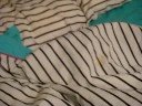 dog attacks sheets