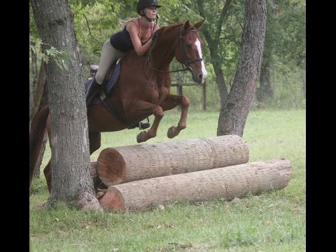 how to take care of xc spikes