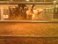 Grant Co. Bull Riding 7 COLTS GUY HIT AGAIN