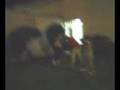 videos de h