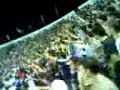 paok-partizan filiko th'afisw th zwh mou sena patalo...