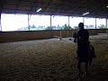 13h00: CSO inter-membre du club hippique de pollionnay