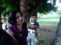 videos de Bamby