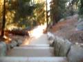 videos de On the path to General Sherman's Tree