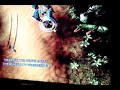 Digital Life: Assault Heroes (Xbox Live Arcade)