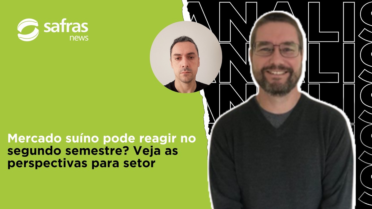 Suíno pode reagir no segundo semestre? Conversa com o Analista