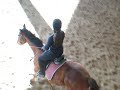 équitation mise en selle obstacle avec nemrod équitation mise en selle obstacle avec nemrod