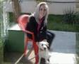 Labrador Retriever video