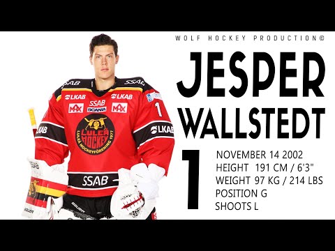 The Best Of Jesper Wallstedt | Top Prospect For The NHL 2021 Draft | Hockey Highlights | HD