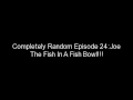 Completely Random Episode 24:Joe The Fish In A Fish Bowl!!!