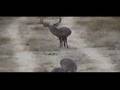 venado 186 puntos 2 lugar angady