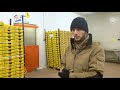 Young People Battle Unemployment in France