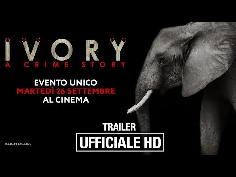 Preview Trailer Ivory. A Crime Story, trailer ufficiale