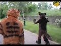 LeTigre & Chibi-Rangfar in Merseburg LeTigre & Chibi-Rangfar in Merseburg