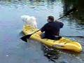 American Eskimo Goes Kayaking