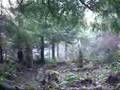 Mossy Roc Disc Golf Course