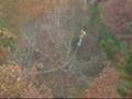 Connor Dunn ZipLining Adventure