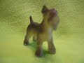 TAZ Pet Vacations: Scotty's Prediction Intro