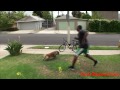 Click To Tweet This Video! clicktotweet.com What Hanger? David Spates Shows & talks about a Golden Retriever Guard Dog that can Ride a Bicycle. Check out his many comedy and vlog videos at www.DavidSpates.com many more videos coming soon! T-shirts & Merch at http Intro by www.Youtube.com Add David on these other sites www.facebook.com twitter.com myspace.com blogtv.com tagged.com Goolgle Plus plus.tl youtube.com