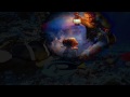 videos de Green Odyssey. Erik Wollo.