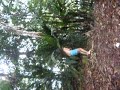 La foret guyanaises