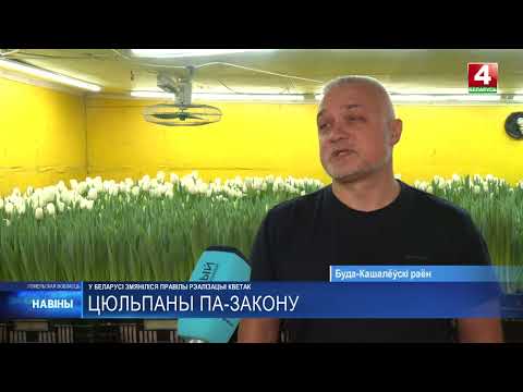Побывали в гостях у предпринимателя под Гомелем, у которого практически круглый год весна видео
