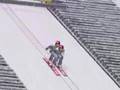 ski jumping pairs