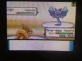 wifi battle 272 KRDsonic vs. Garchomp101