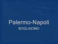 Palermo-Napoli 2-1 2007/2008 Bogliacino commento Auriemma