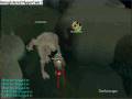 Donkiescape The Dagg Lair
