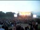 Manu Chao pont du Gard