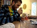 Hummus Eating Competition