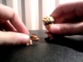 Vidéo0105,,