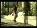 Zered Bassett and Dennis Busenitz – Skate More