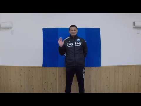YouTube動画