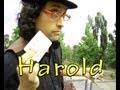Harold el mago Escobar