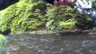 SalmondienJagd an der Our - Teil 2