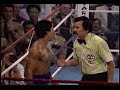 mexico vs puerto rico