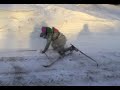 Ski de fond.mpg